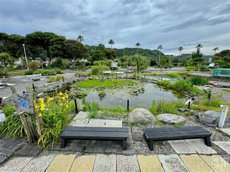 御前崎 なめ や|御前崎エコパークのビオトープ池（静岡県御前崎） .